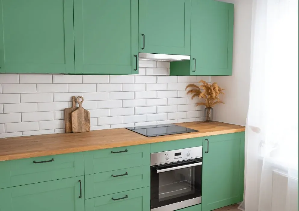 Behr Nature Green kitchen cabinets