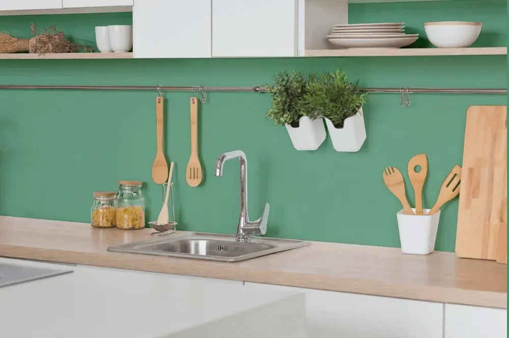 Behr Nature Green kitchen backsplash