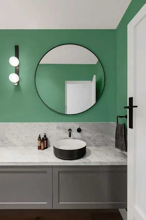 Behr Nature Green minimalist bathroom
