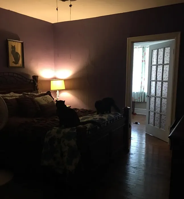 Behr New Orleans bedroom interior