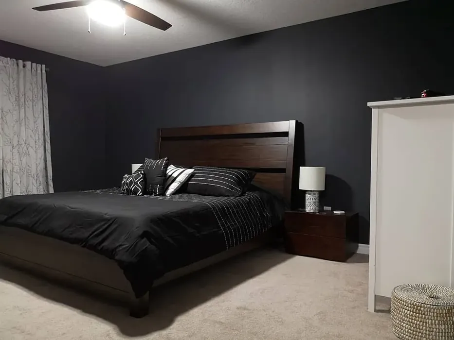 Behr Night Club bedroom color