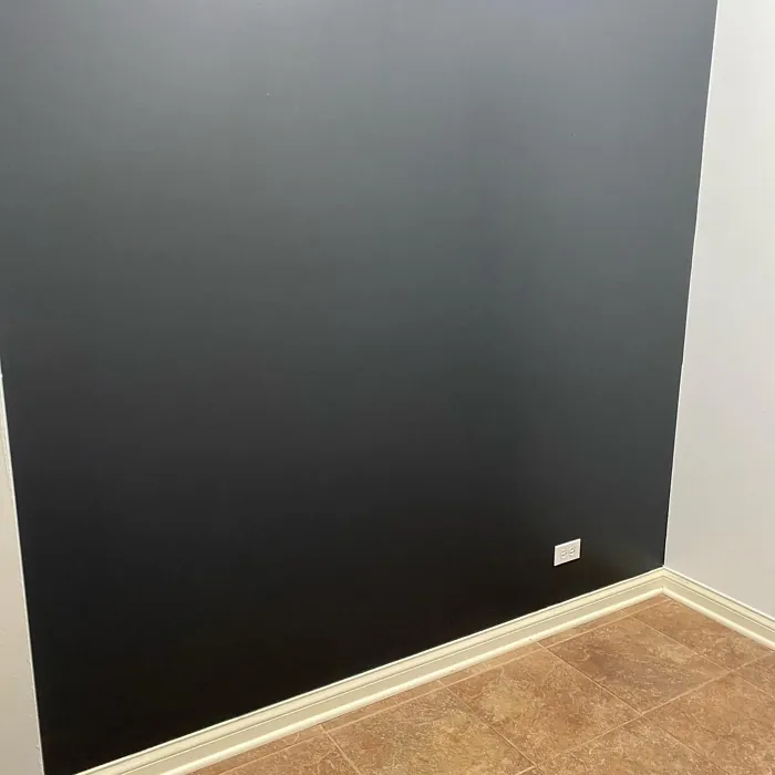 Behr Night Club accent wall color paint