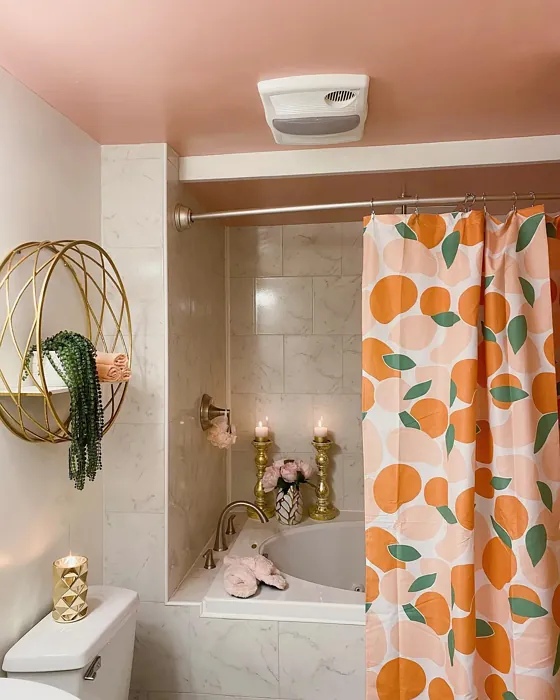 Behr Noble Blush bathroom color review