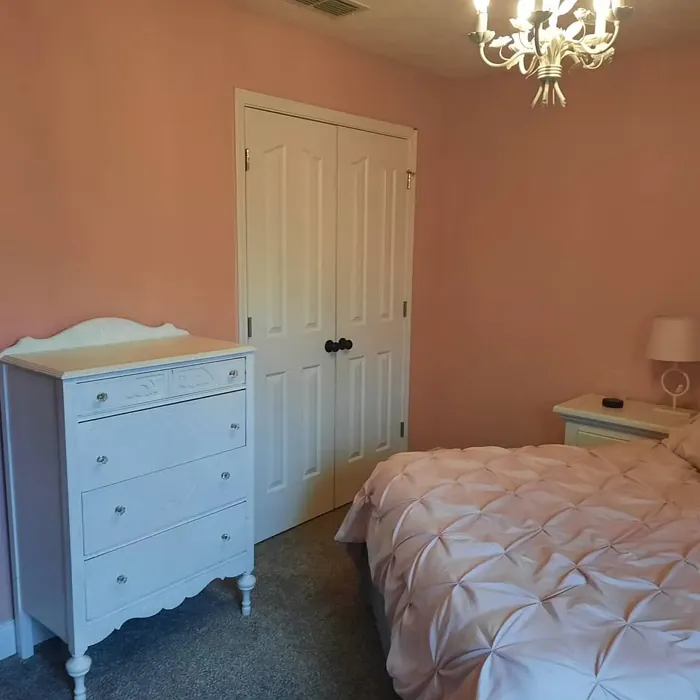 Behr Noble Blush kids' room color review