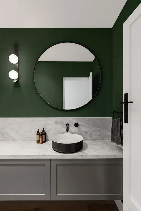 Behr Northern Glen minimalist bathroom