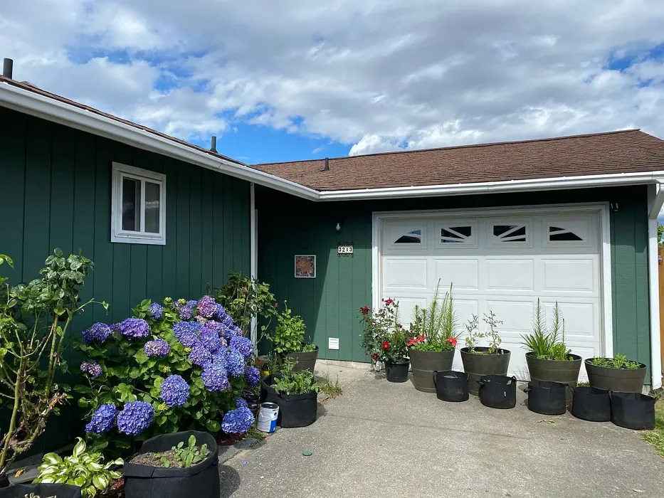 Behr Northern Glen exterior color