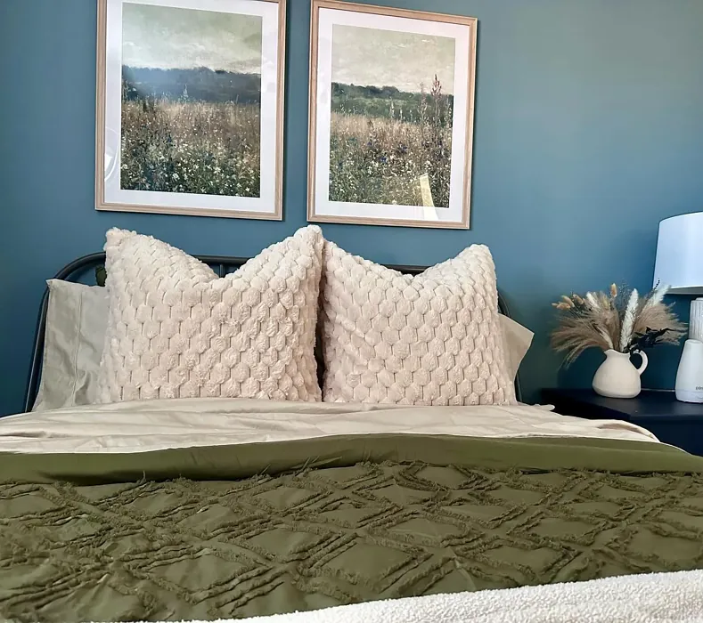 Behr Norwegian Blue cozy bedroom color