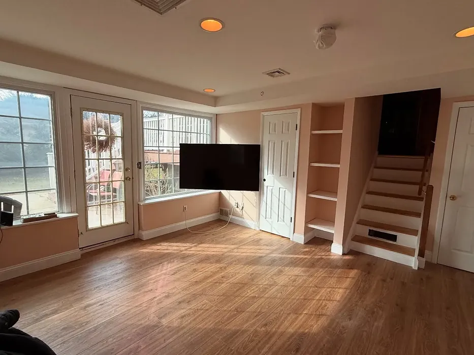 Behr Nutmeg Frost wall paint 