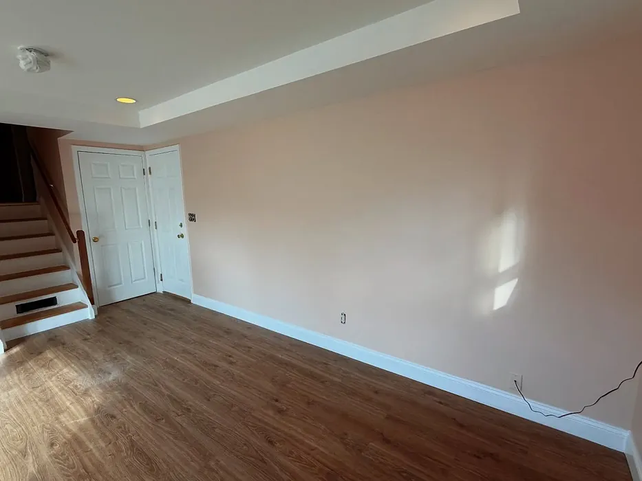 Behr Nutmeg Frost wall paint review