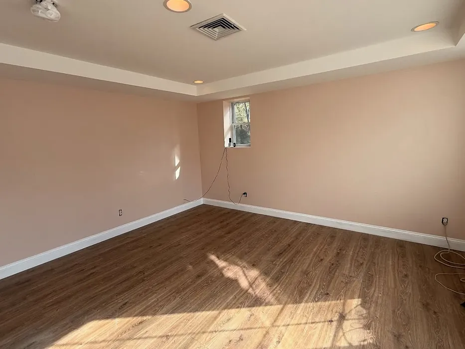 Behr S210-1 wall paint review