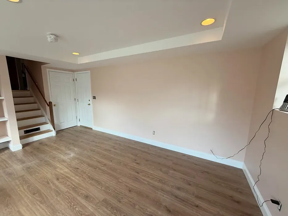 Behr S210-1 wall paint 