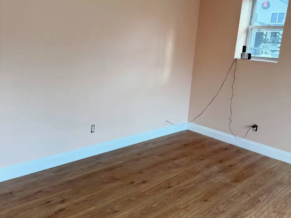 Behr Nutmeg Frost paint review