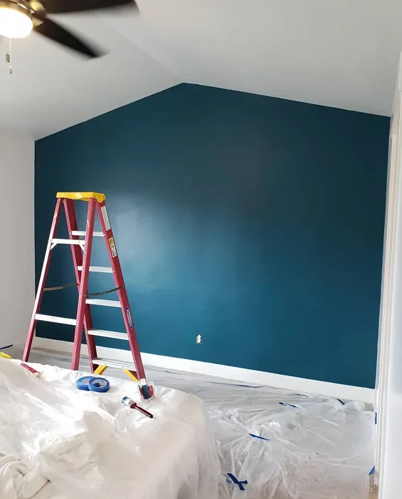 Ocean Abyss accent wall 