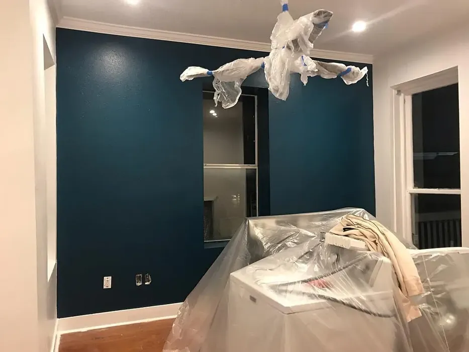 Ocean Abyss accent wall paint