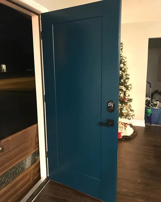 Ocean Abyss door color