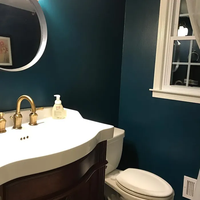 Ocean Abyss bathroom paint review