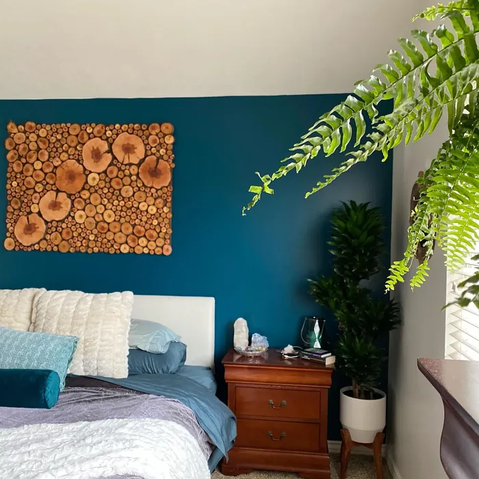 Ocean Abyss bedroom paint review