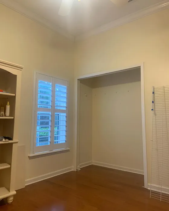 Behr Off White review 