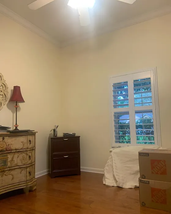 Behr Off White paint color review