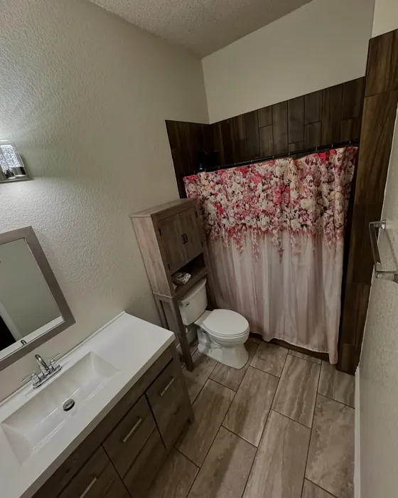 Behr Off White bathroom paint