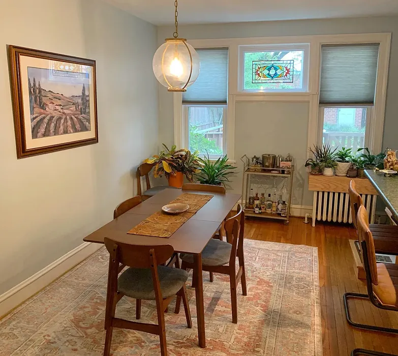 Behr Offshore Mist dining room color