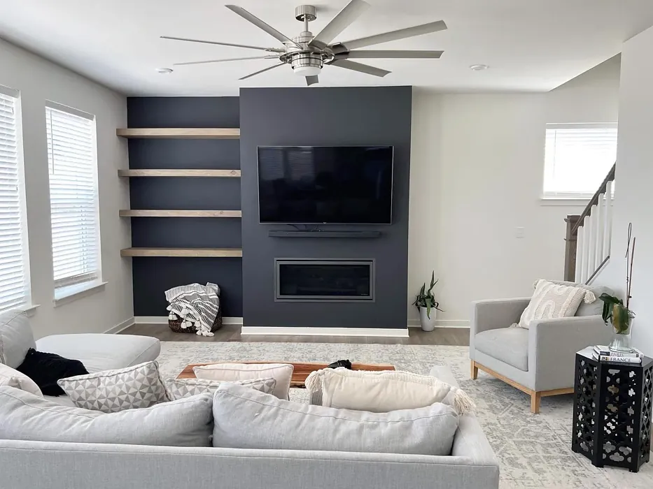 Behr Orion Gray living room color