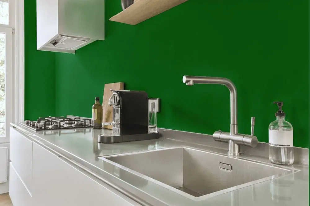 Behr Paradise Of Greenery kitchen painted backsplash