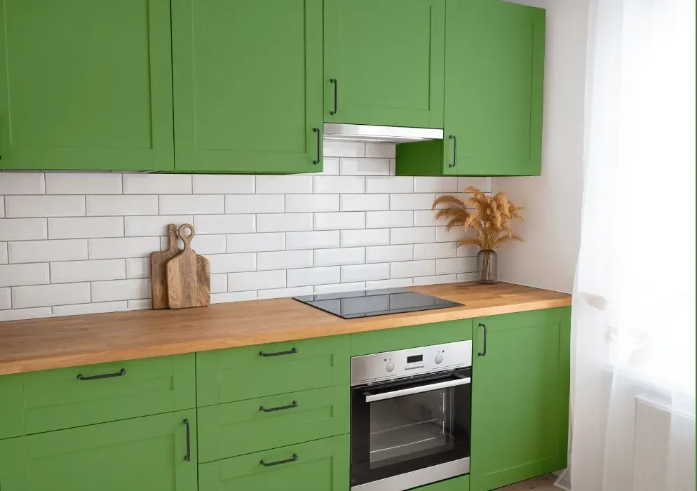 Behr Parakeet kitchen cabinets