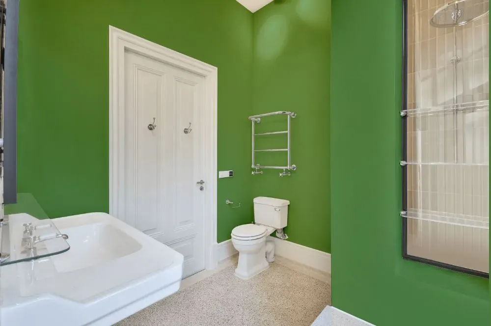 Behr Parakeet bathroom