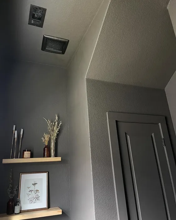 Behr Peppery bathroom color