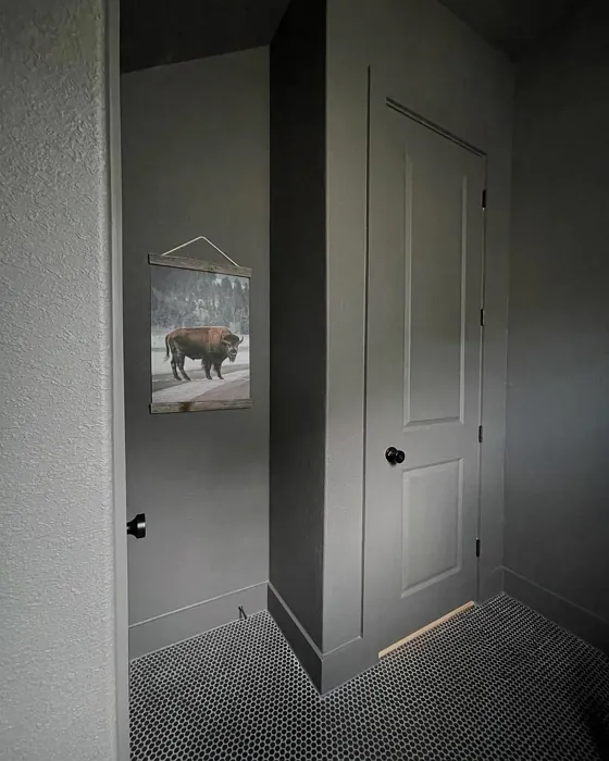 Behr Peppery bathroom paint