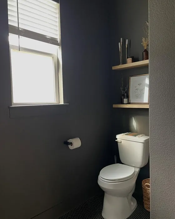 Behr Peppery bathroom paint review