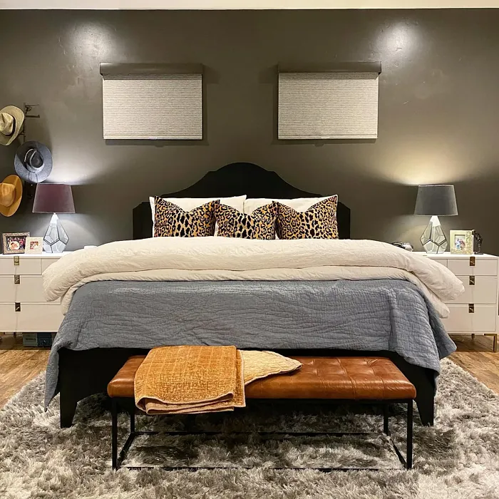 Behr Peppery bedroom accent wall