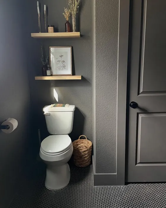 Behr Peppery bathroom 