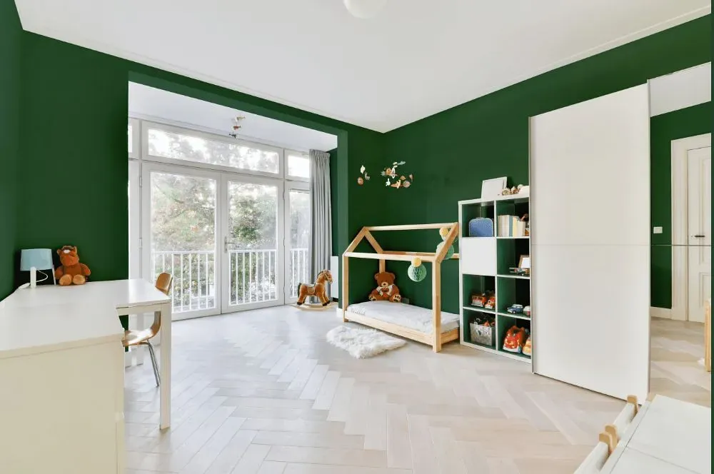 Behr Perennial Green kidsroom interior, children's room