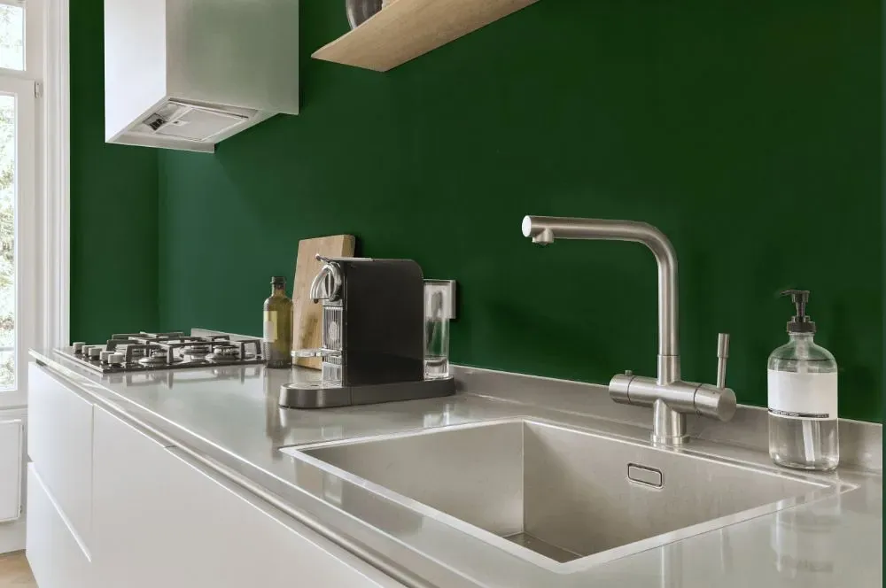 Behr Perennial Green kitchen painted backsplash