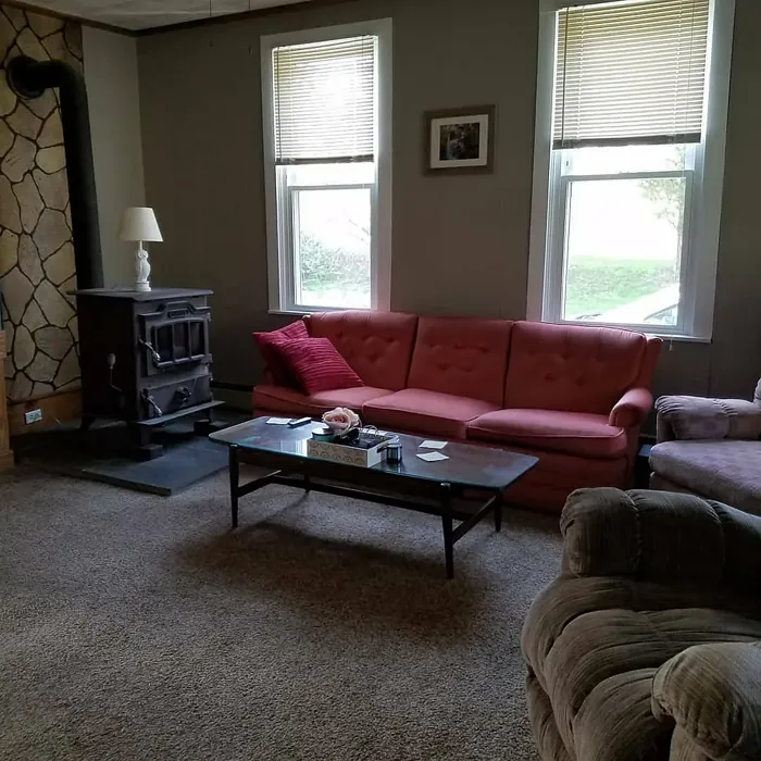 Behr PPU18-13 living room color