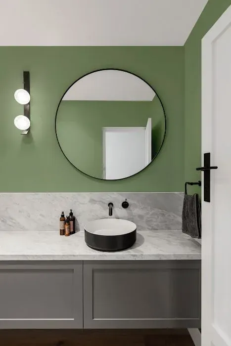 Behr Pesto Green minimalist bathroom