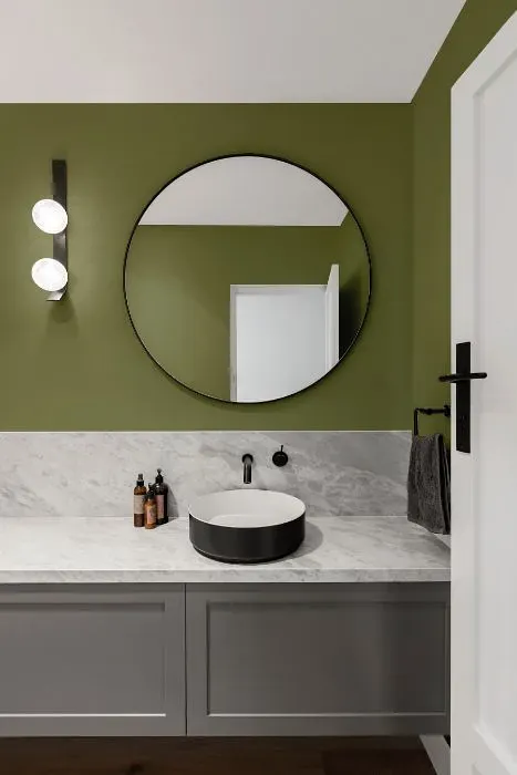 Behr Pesto Paste minimalist bathroom