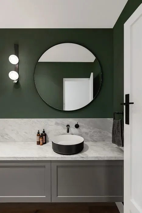 Behr Pine Mountain minimalist bathroom