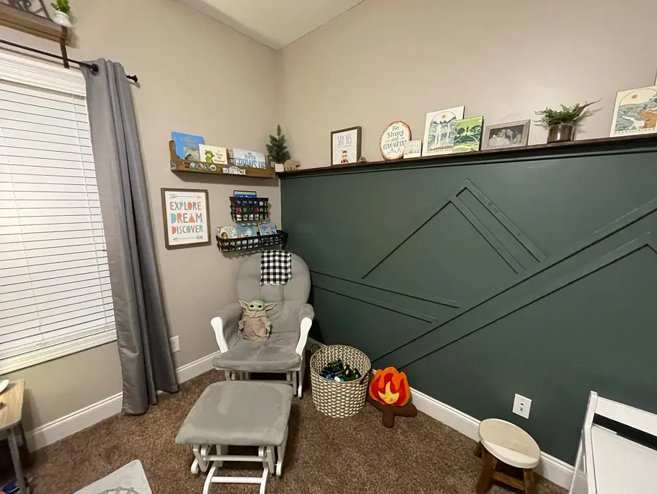 Behr Pine Mountain kids' room color