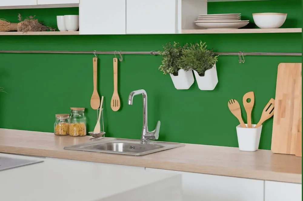 Behr Planet Green kitchen backsplash