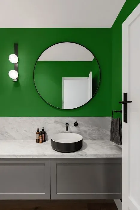 Behr Planet Green minimalist bathroom