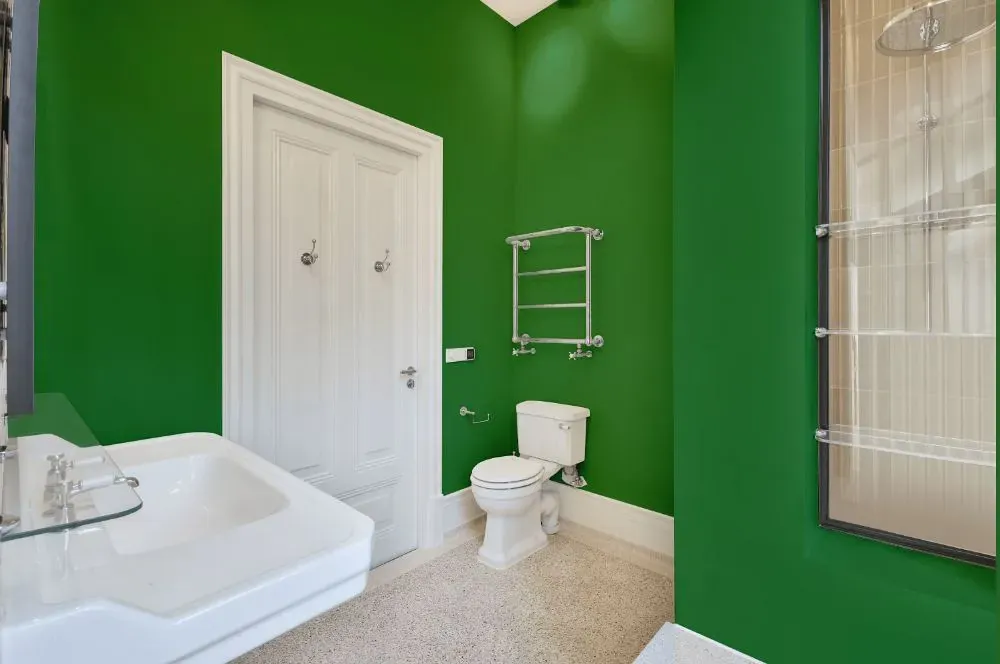 Behr Planet Green bathroom