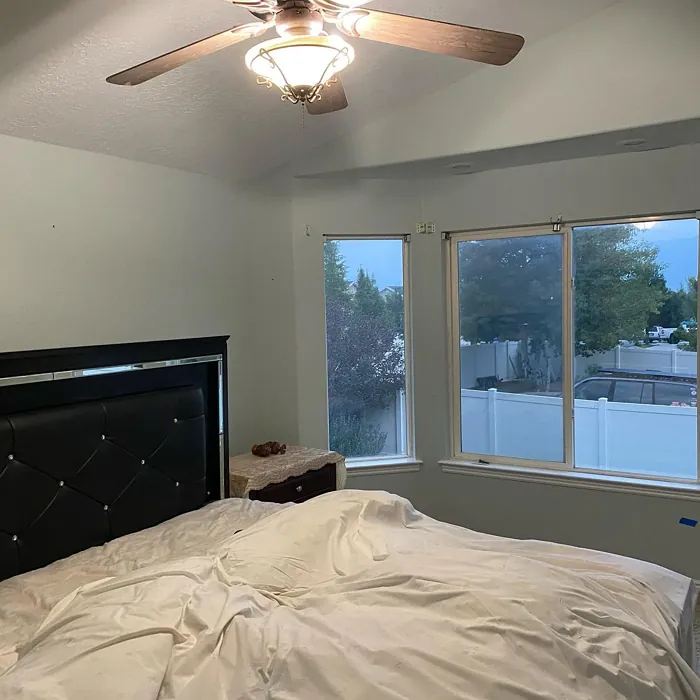 Behr Planetary Silver bedroom review