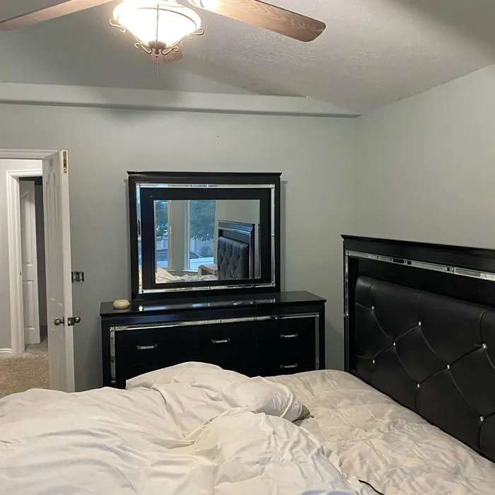 Behr Planetary Silver bedroom photo