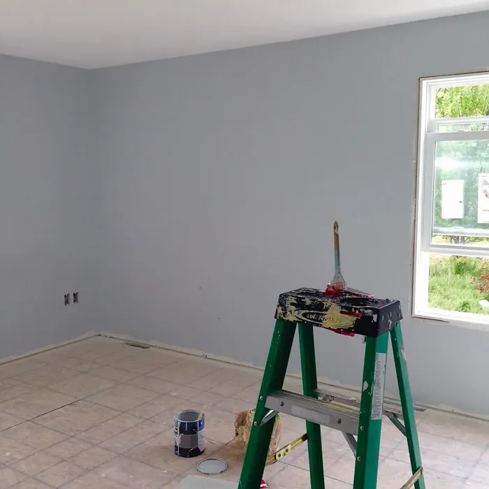 Behr N460-2 wall paint makeover