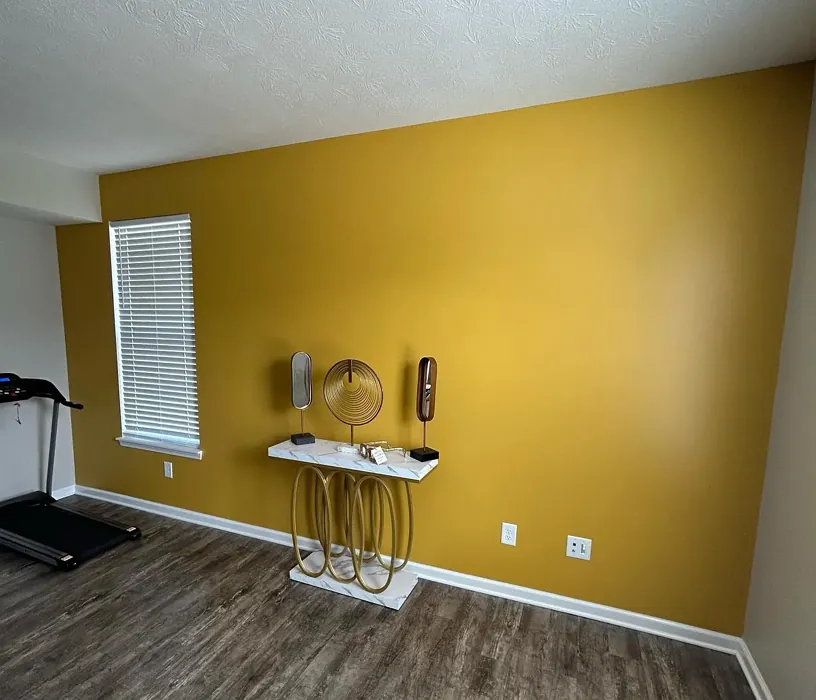 Behr Plantain Chips accent wall color