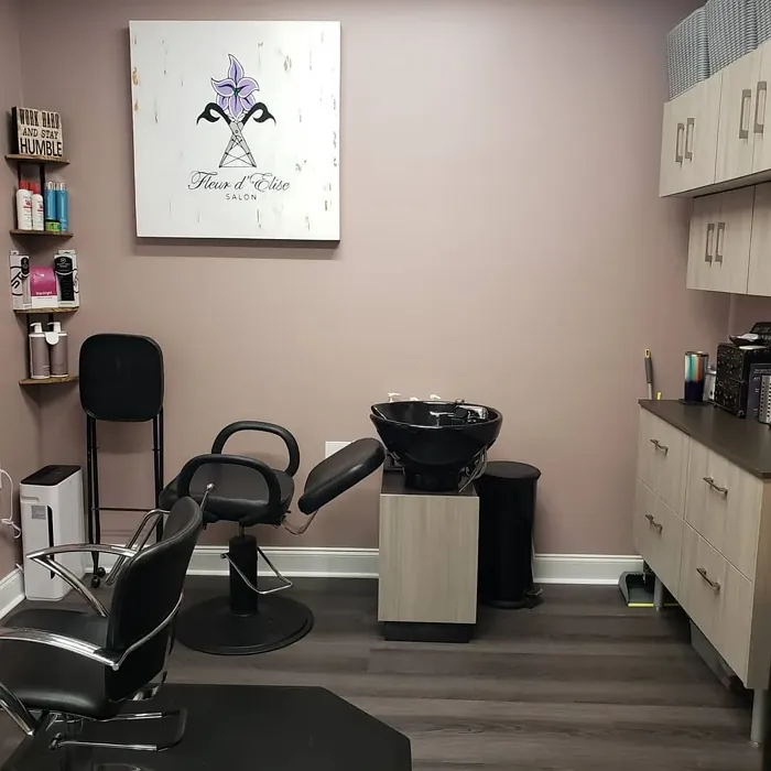 Behr Plum Taupe hair salon interior