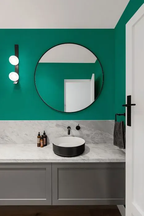 Behr Plumage minimalist bathroom